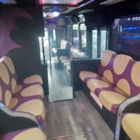 LIMOBUS DISCO BUS DA 8 A 40 POSTI PER COMPLEANNI E TUTTI GLI EVENTI, Promo da 300 euro TUTTO incluso - immagine 11