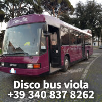 LIMOBUS DISCO BUS DA 8 A 40 POSTI PER COMPLEANNI E TUTTI GLI EVENTI, Promo da 300 euro TUTTO incluso - immagine 9