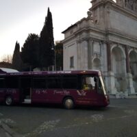 LIMOBUS DISCO BUS DA 8 A 40 POSTI PER COMPLEANNI E TUTTI GLI EVENTI, Promo da 300 euro TUTTO incluso - immagine 10