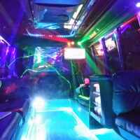 LIMOBUS DISCO BUS DA 8 A 40 POSTI PER COMPLEANNI E TUTTI GLI EVENTI, Promo da 300 euro TUTTO incluso - immagine 4