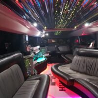 LIMOBUS DISCO BUS DA 8 A 40 POSTI PER COMPLEANNI E TUTTI GLI EVENTI, Promo da 300 euro TUTTO incluso - immagine 7
