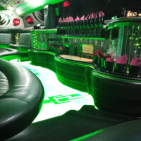 LIMOBUS DISCO BUS DA 8 A 40 POSTI PER COMPLEANNI E TUTTI GLI EVENTI, Promo da 300 euro TUTTO incluso - immagine 8