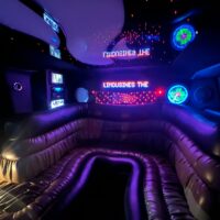 LIMOBUS DISCO BUS DA 8 A 40 POSTI PER COMPLEANNI E TUTTI GLI EVENTI, Promo da 300 euro TUTTO incluso - immagine 15