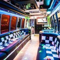 LIMOBUS DISCO BUS DA 8 A 40 POSTI PER COMPLEANNI E TUTTI GLI EVENTI, Promo da 300 euro TUTTO incluso - immagine 20