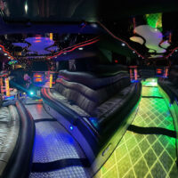 LIMOBUS DISCO BUS DA 8 A 40 POSTI PER COMPLEANNI E TUTTI GLI EVENTI, Promo da 300 euro TUTTO incluso - immagine 16