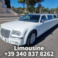 LIMOBUS DISCO BUS DA 8 A 40 POSTI PER COMPLEANNI E TUTTI GLI EVENTI, Promo da 300 euro TUTTO incluso - immagine 21